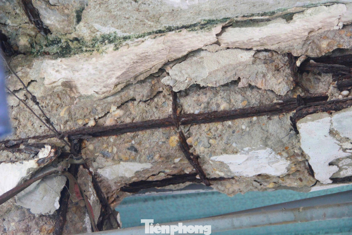 Chung cư xuống cấp, trần rơi lả tả - Ảnh 5