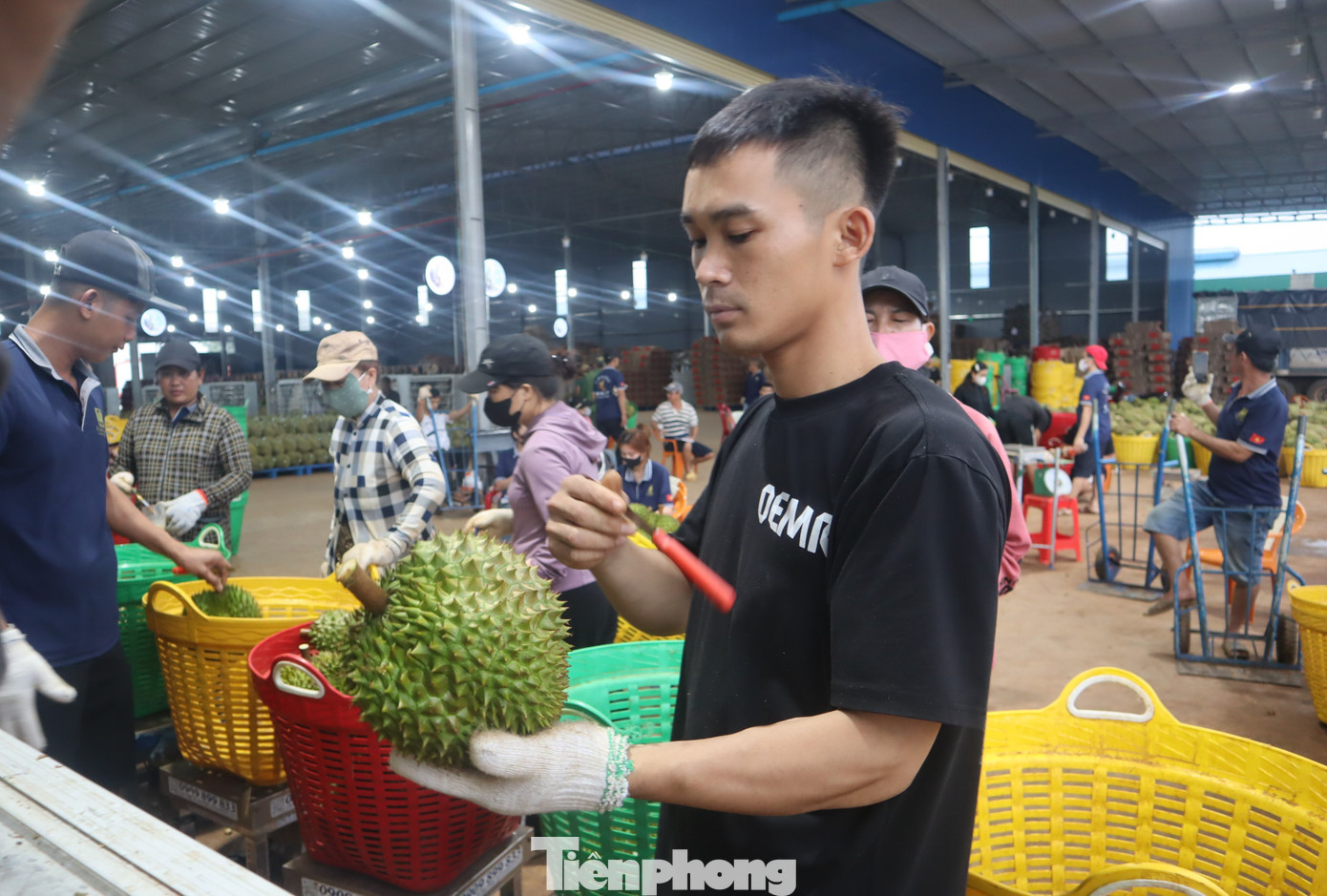 Doanh nghiệp Trung Quốc nói gì về chất lượng sầu riêng Việt Nam? - Ảnh 4