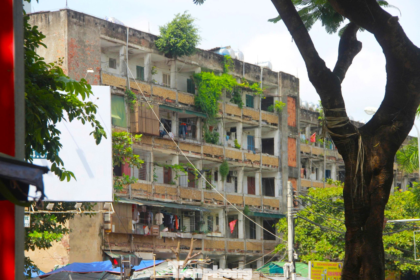 Chung cư xuống cấp, trần rơi lả tả - Ảnh 2