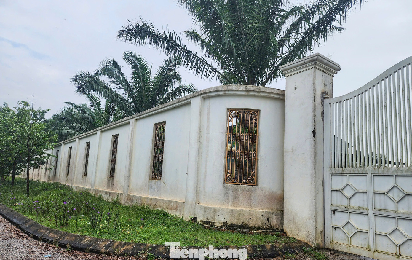 Choáng ngợp khi tận thấy dinh thự hoành tráng 50.000 m2 của ‘Bầu Đoan’ - Ảnh 10