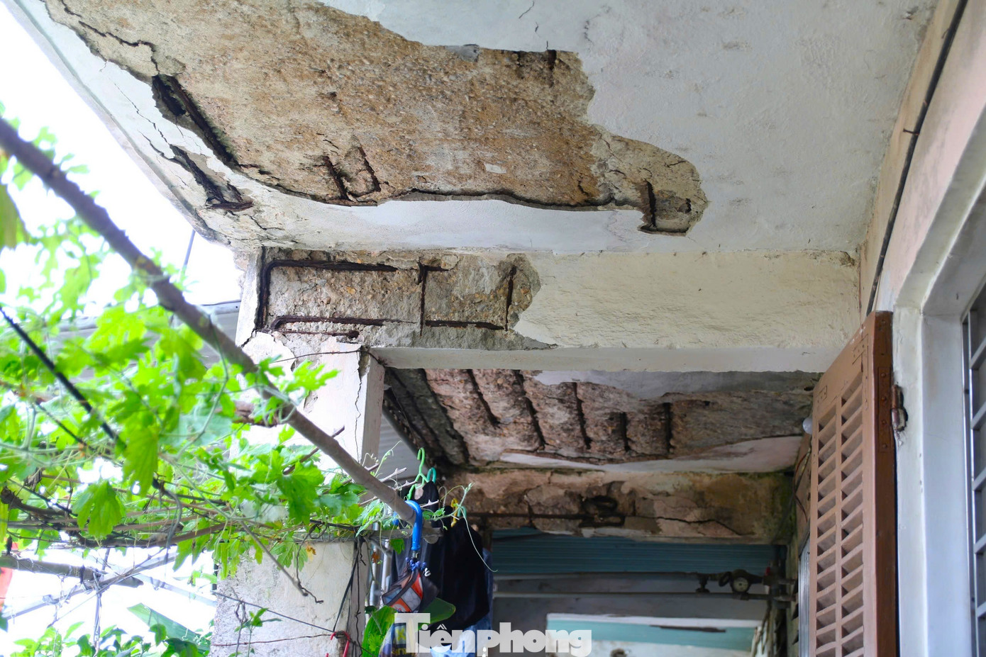 Chung cư xuống cấp, trần rơi lả tả - Ảnh 6