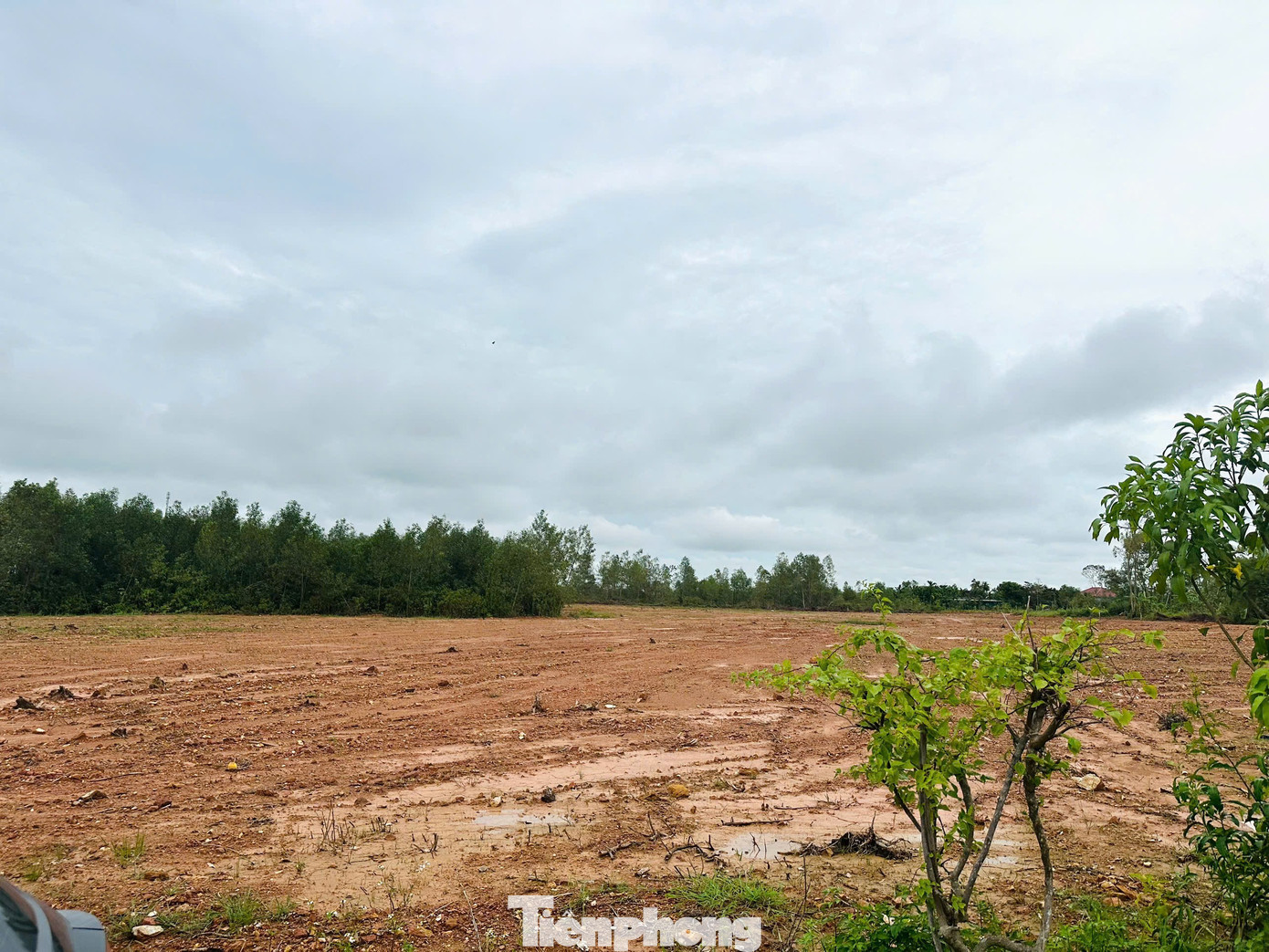 'Thổi giá', gom đất, phân lô bán nền tràn lan sau công bố quy hoạch - Ảnh 4