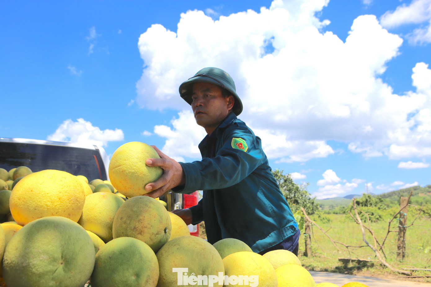 'Đệ nhất danh quả' vào vụ thu hoạch - Ảnh 5