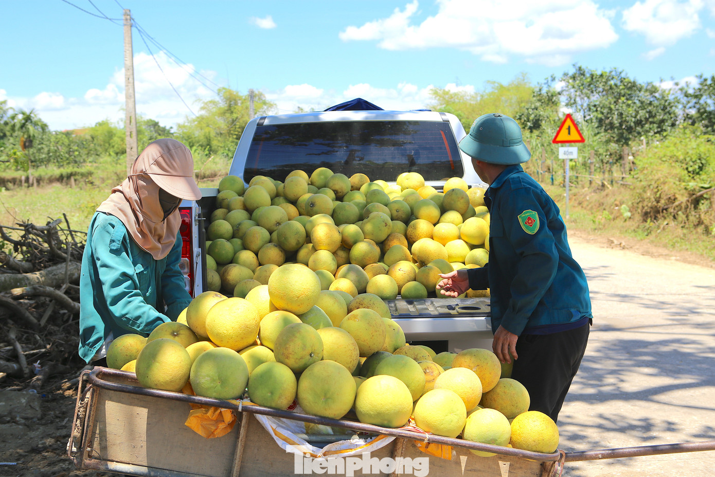 'Đệ nhất danh quả' vào vụ thu hoạch - Ảnh 3