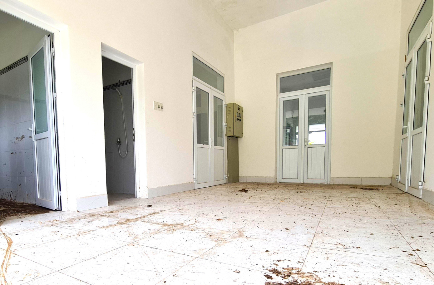 Cận cảnh bệnh viện 250 tỷ đồng tại TPHCM bị bỏ hoang nhiều năm - Ảnh 6