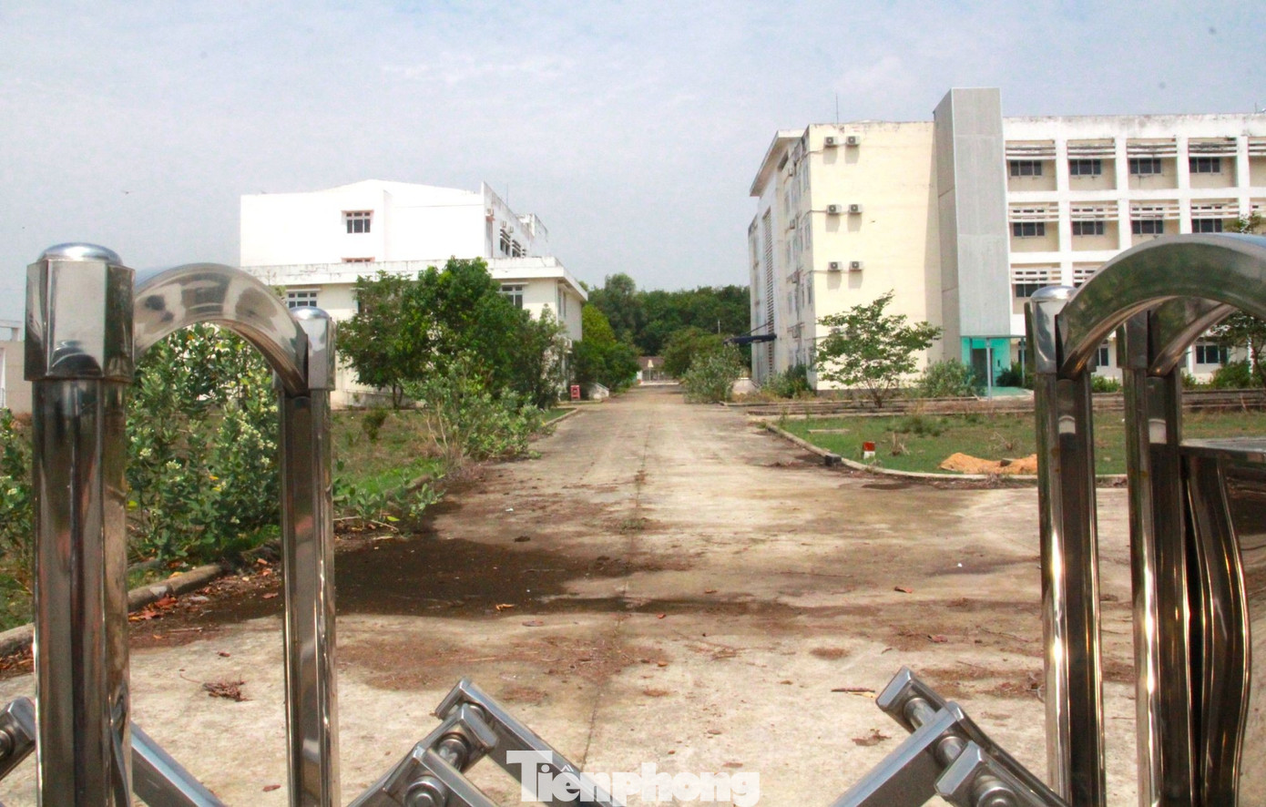 Cận cảnh bệnh viện 250 tỷ đồng tại TPHCM bị bỏ hoang nhiều năm - Ảnh 2