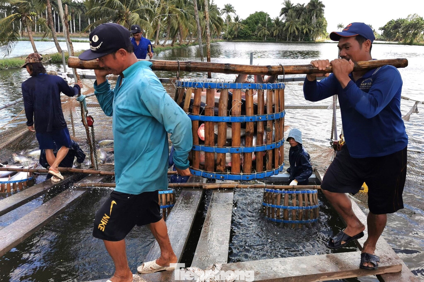 Thách thức thuế Mỹ là ‘phép thử’ quan trọng với doanh nghiệp - Ảnh 1