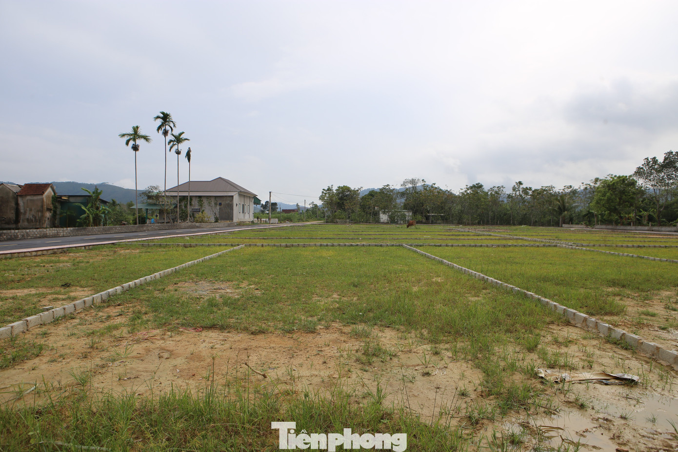 'Thổi giá', gom đất, phân lô bán nền tràn lan sau công bố quy hoạch - Ảnh 3