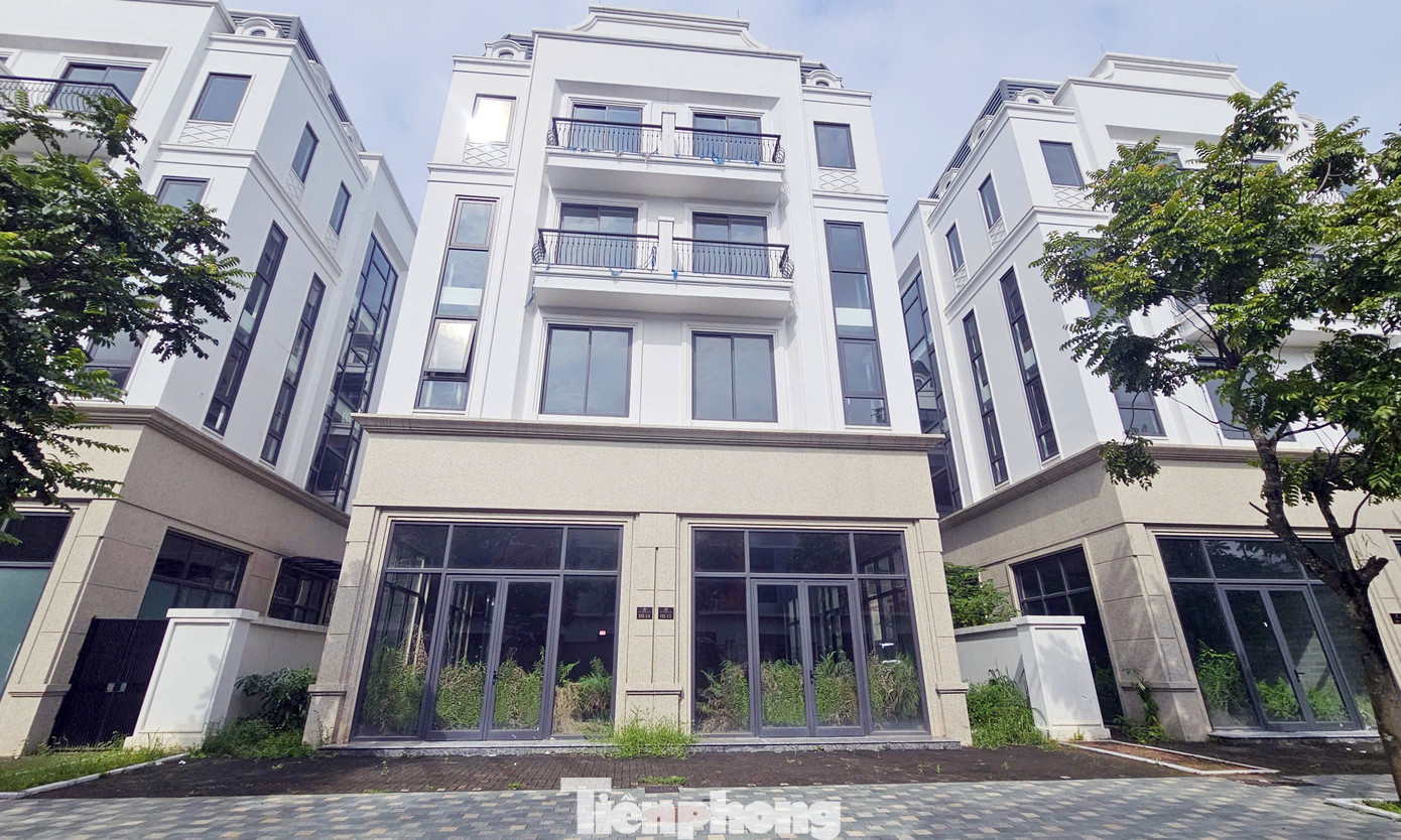 Chủ đầu tư 'đau đầu' với khu biệt thự, liền kề triệu đô bỏ hoang, cỏ dại mọc um tùm giữa Thủ đô - Ảnh 4