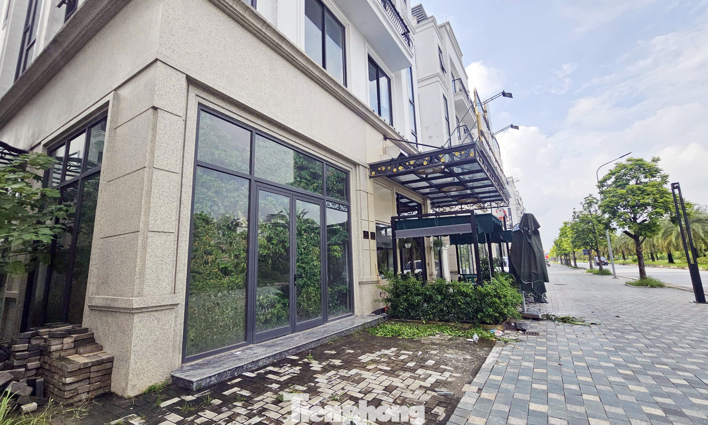 Chủ đầu tư 'đau đầu' với khu biệt thự, liền kề triệu đô bỏ hoang, cỏ dại mọc um tùm giữa Thủ đô - Ảnh 6