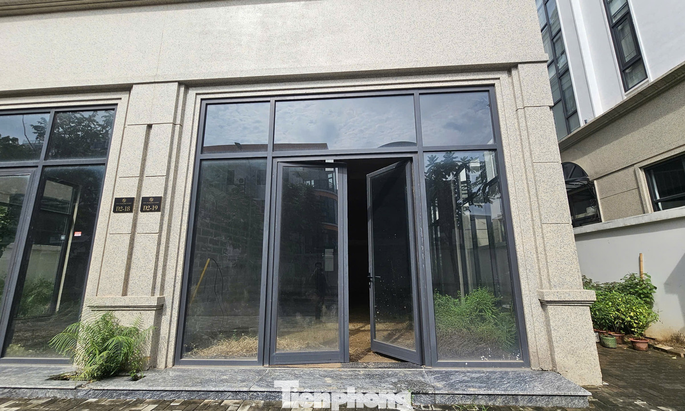 Chủ đầu tư 'đau đầu' với khu biệt thự, liền kề triệu đô bỏ hoang, cỏ dại mọc um tùm giữa Thủ đô - Ảnh 11