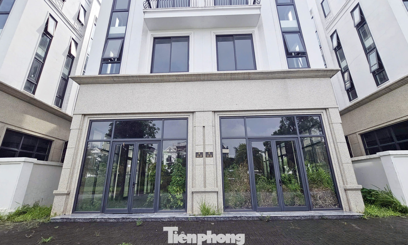 Chủ đầu tư 'đau đầu' với khu biệt thự, liền kề triệu đô bỏ hoang, cỏ dại mọc um tùm giữa Thủ đô - Ảnh 10