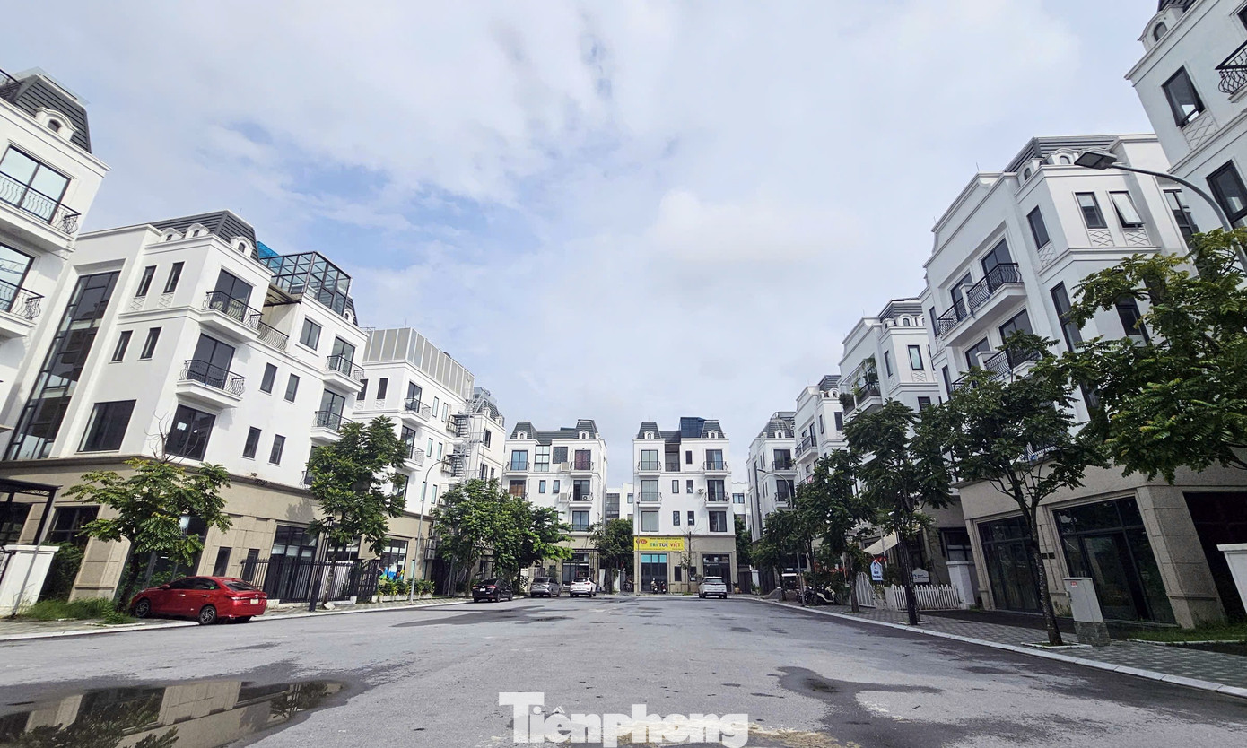 Chủ đầu tư 'đau đầu' với khu biệt thự, liền kề triệu đô bỏ hoang, cỏ dại mọc um tùm giữa Thủ đô - Ảnh 2