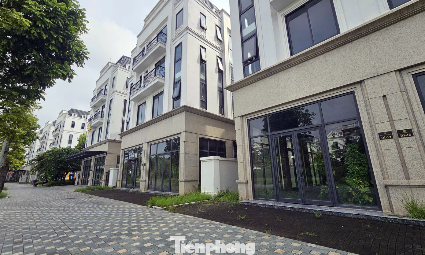 Chủ đầu tư 'đau đầu' với khu biệt thự, liền kề triệu đô bỏ hoang, cỏ dại mọc um tùm giữa Thủ đô - Ảnh 5