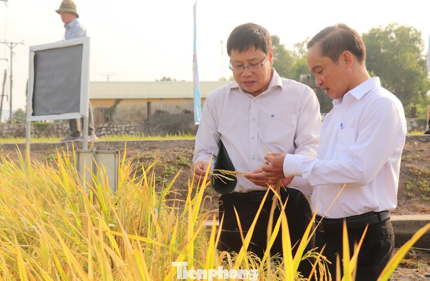 'Bài học xương máu' nhìn từ vụ kiện gạo Việt Nam ngon nhất thế giới - Ảnh 4