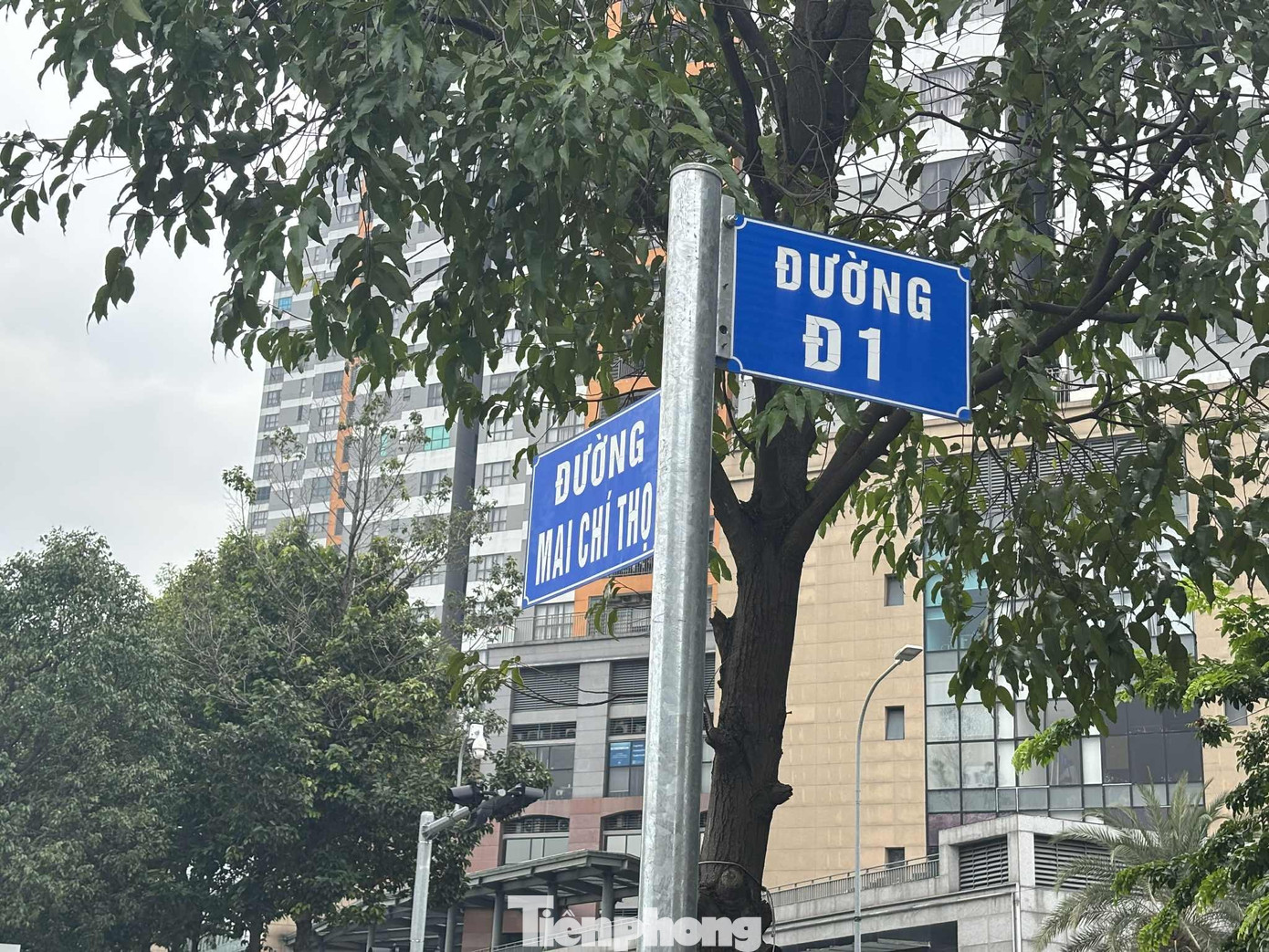 Cận cảnh tuyến đường đầu tiên ở TPHCM sẽ cải tạo thành làn xe đạp - Ảnh 3