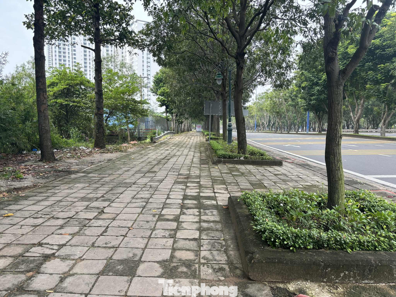 Cận cảnh tuyến đường đầu tiên ở TPHCM sẽ cải tạo thành làn xe đạp - Ảnh 6