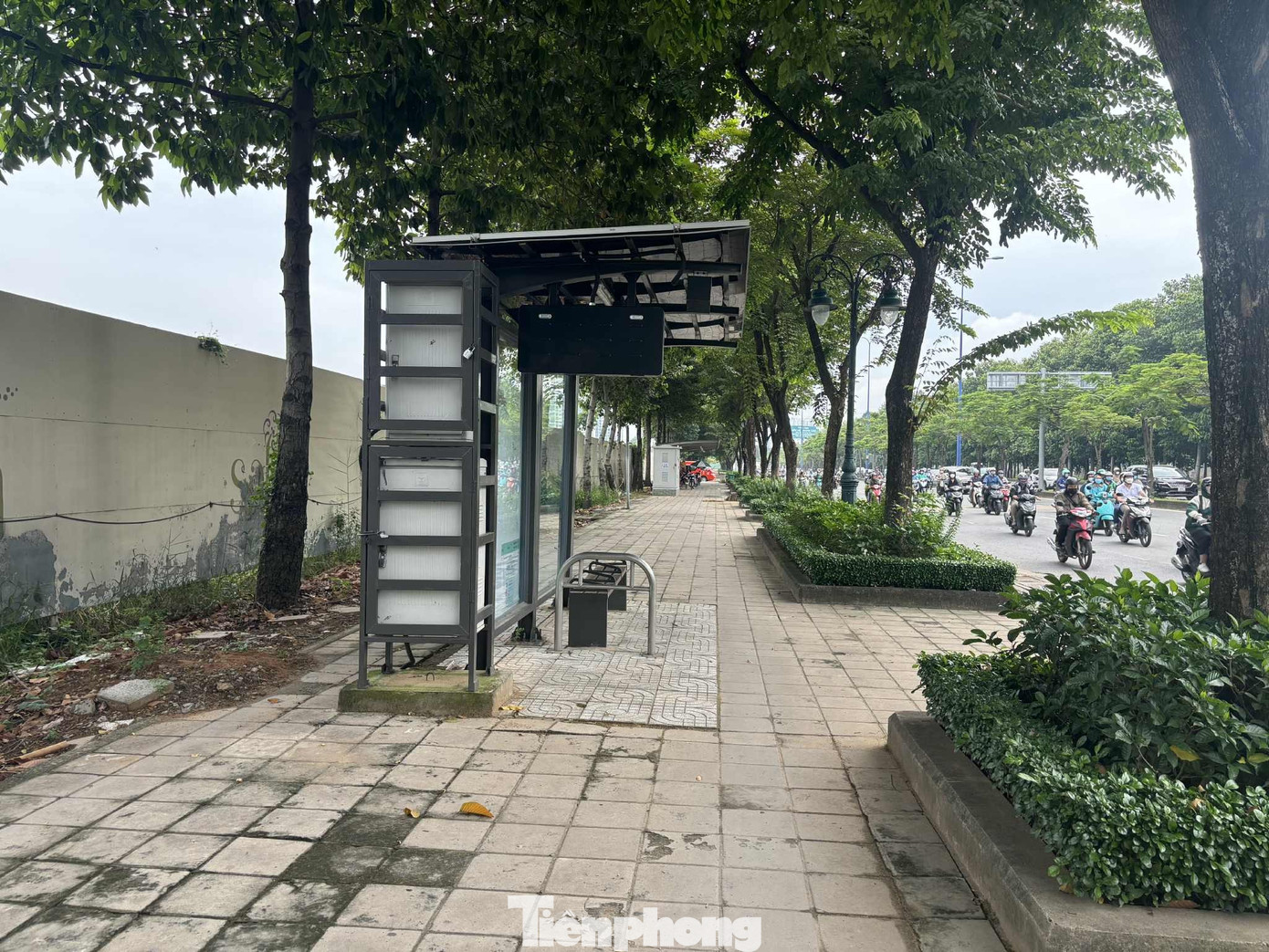 Cận cảnh tuyến đường đầu tiên ở TPHCM sẽ cải tạo thành làn xe đạp - Ảnh 9