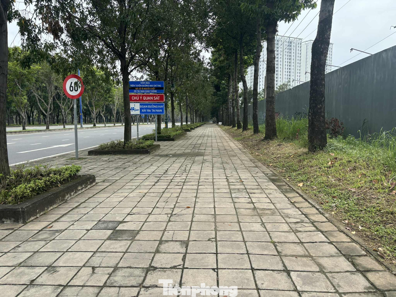 Cận cảnh tuyến đường đầu tiên ở TPHCM sẽ cải tạo thành làn xe đạp - Ảnh 5