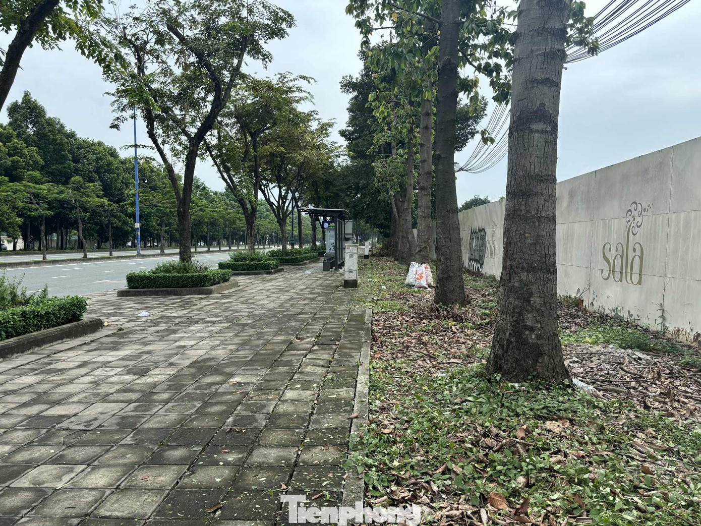 Cận cảnh tuyến đường đầu tiên ở TPHCM sẽ cải tạo thành làn xe đạp - Ảnh 12