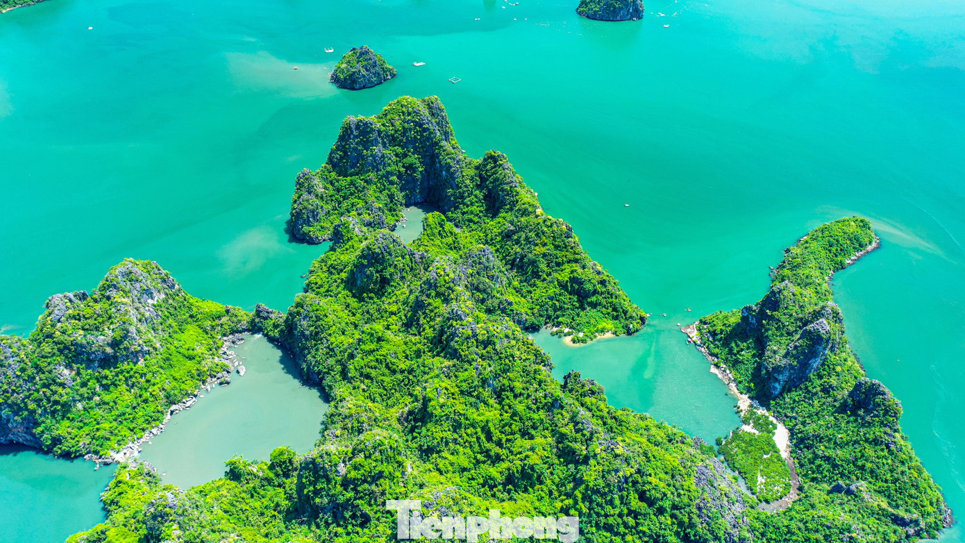 Ngắm vịnh Bái Tử Long từ tuyến đường bao biển đẹp nhất Việt Nam - Ảnh 5