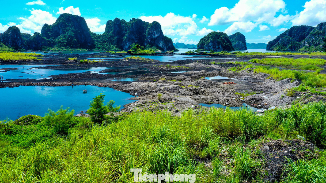 Tận thấy dự án điện khí 2,2 tỷ USD đang 'rùa bò' ở Quảng Ninh - Ảnh 3