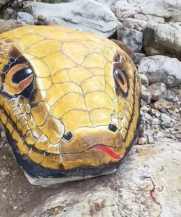 'Trăn khổng lồ' giữa suối khiến du khách hoảng sợ, ban quản lý nói: Nó đã ở đây hàng trăm triệu năm - Ảnh 2