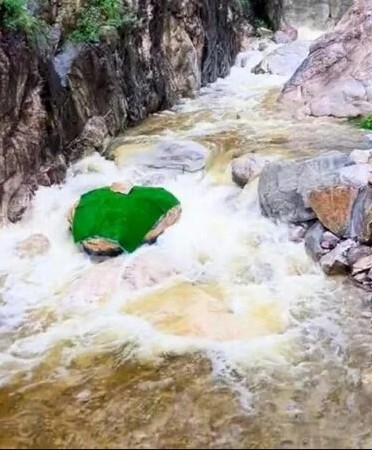 'Trăn khổng lồ' giữa suối khiến du khách hoảng sợ, ban quản lý nói: Nó đã ở đây hàng trăm triệu năm - Ảnh 4