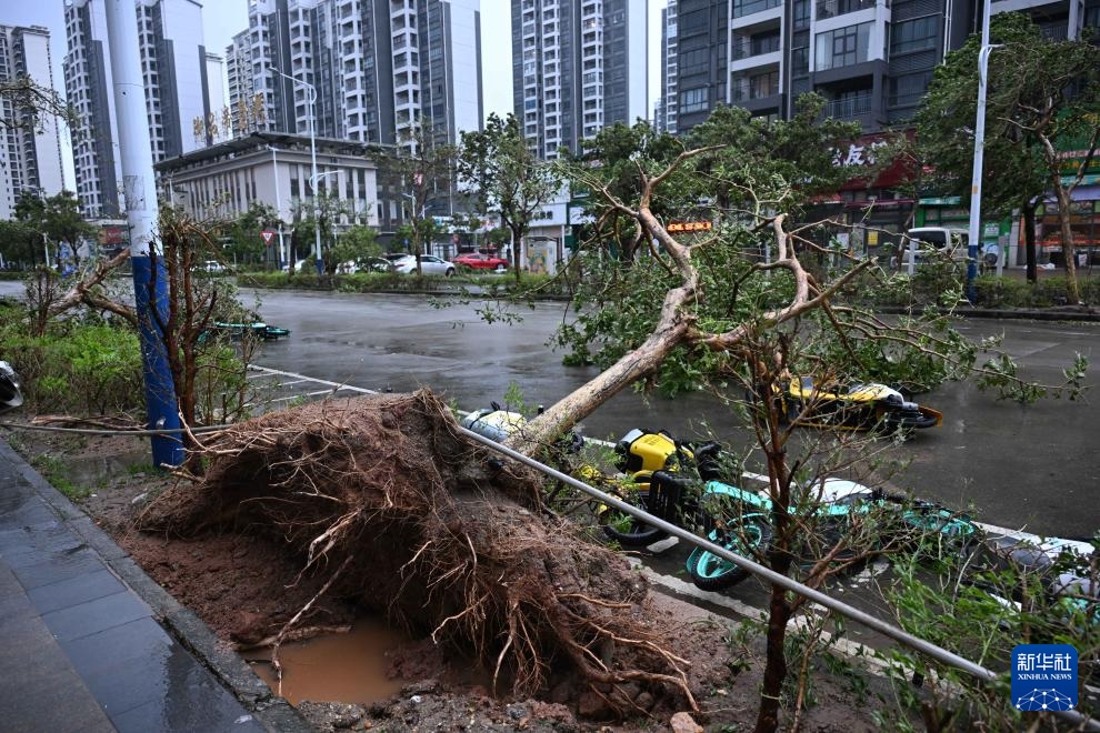 Bão Ragasa: Có uẩn khúc sau thảm họa vỡ hồ chắn, nước lũ ồ ạt ở Đài Loan - Trung Quốc? - Ảnh 4