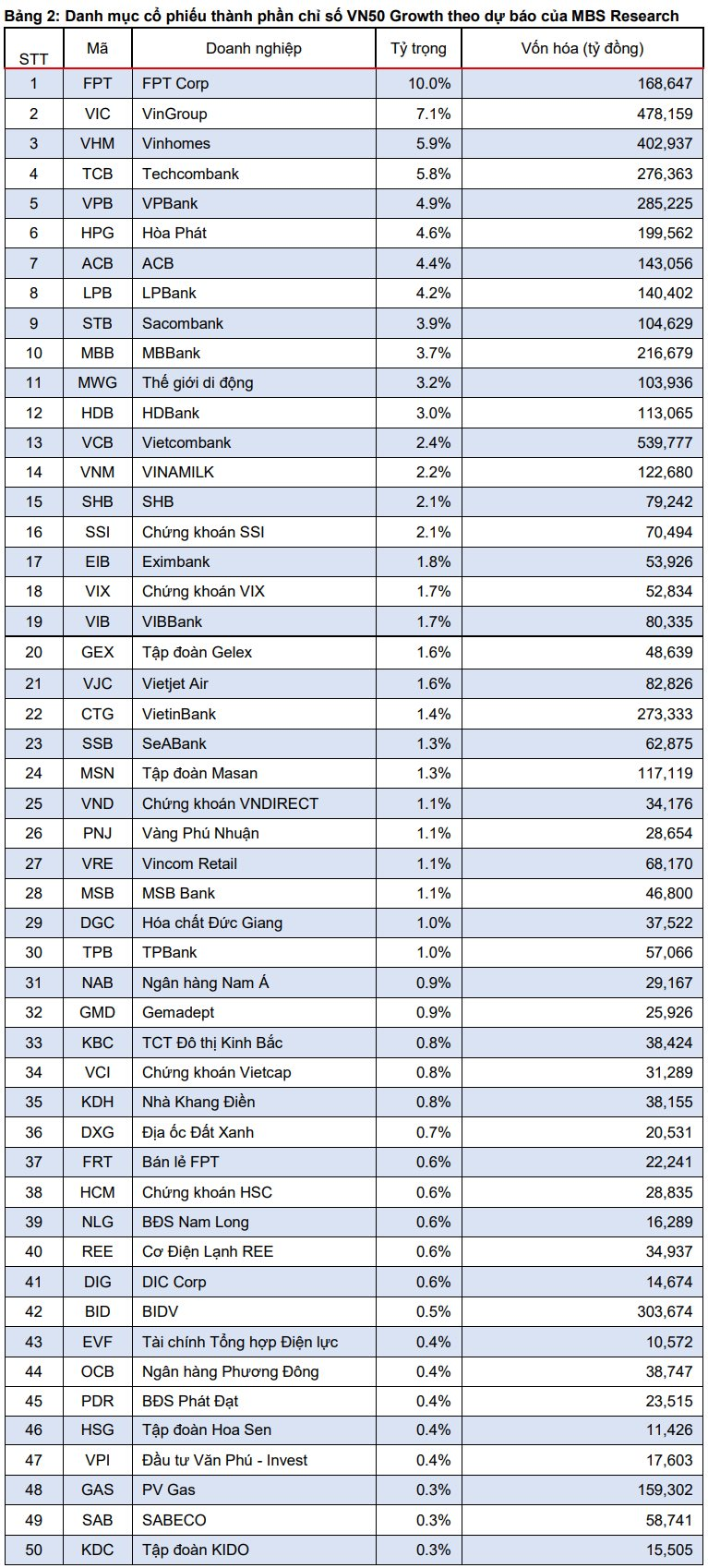Mã chứng khoán nào sẽ "sáng cửa" lọt hai rổ chỉ số mới VN50 Growth và VNMITECH? - Ảnh 2