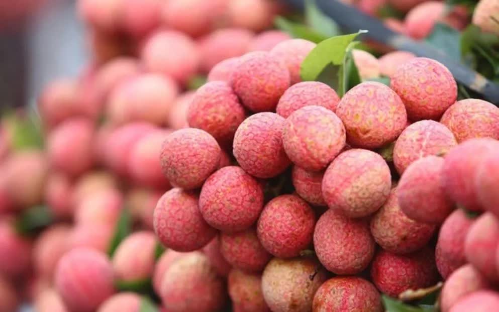 Xuất khẩu vải thiều thắng lớn - Ảnh 1