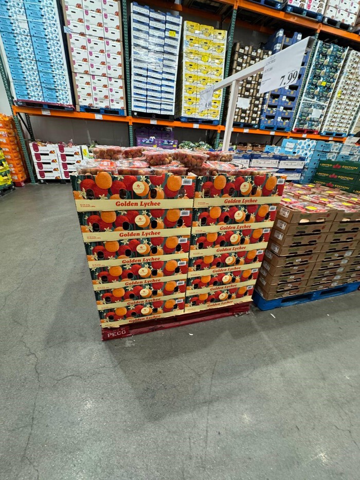 Chủ tịch nước Lương Cường công du Mỹ: Costco kỳ vọng nhập 1 tỷ USD hàng Việt, Boeing giao máy bay, mở đường cho chuỗi cung ứng Việt - Ảnh 3