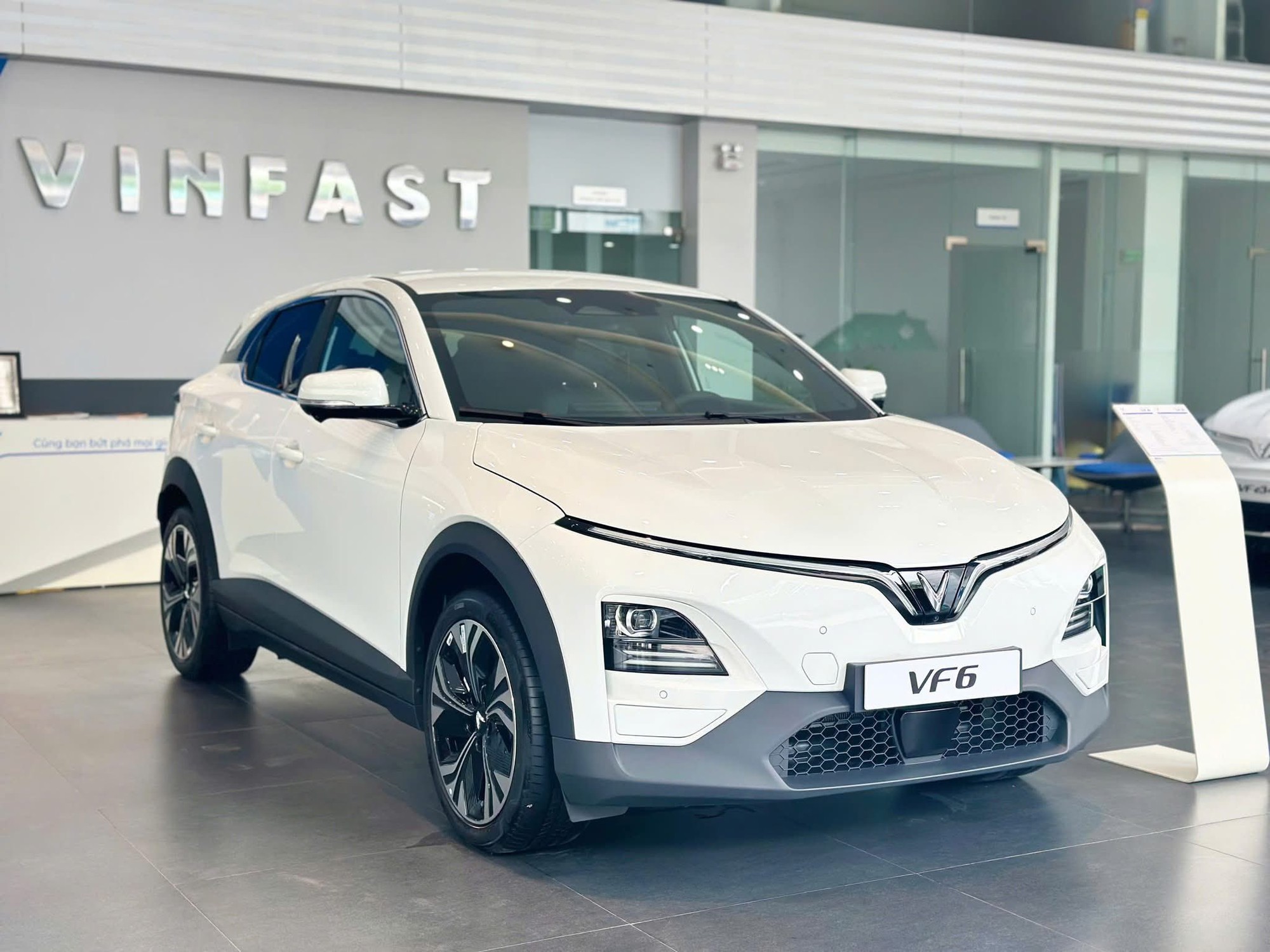 Hội đồng thẩm định chuyên môn CCA 2025: Mazda CX-5 và Ford Ranger xứng đáng dẫn dắt thị trường - Ảnh 2