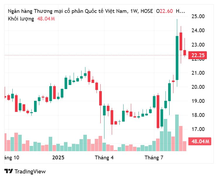 Rục rịch đưa "Gà đẻ trứng vàng" lên sàn, cổ phiếu loạt doanh nghiệp Việt tăng "bốc đầu" - Ảnh 4