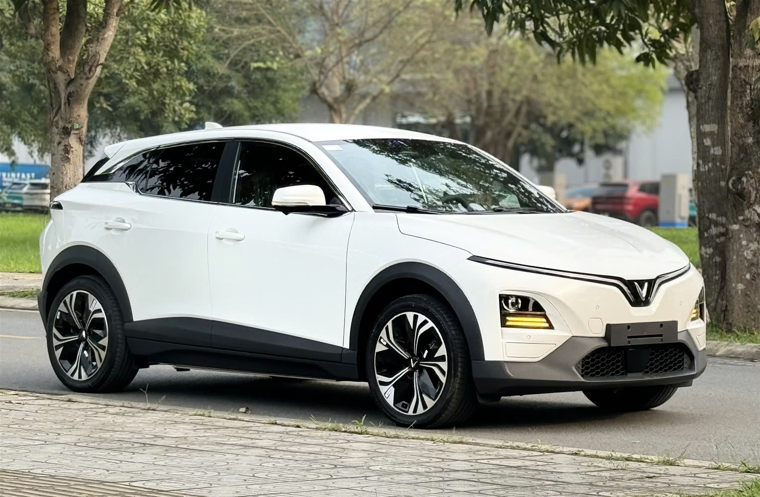 CCA 2025 chốt top 5, ‘người trong cuộc’ chọn những cái tên nào? - Ảnh 2