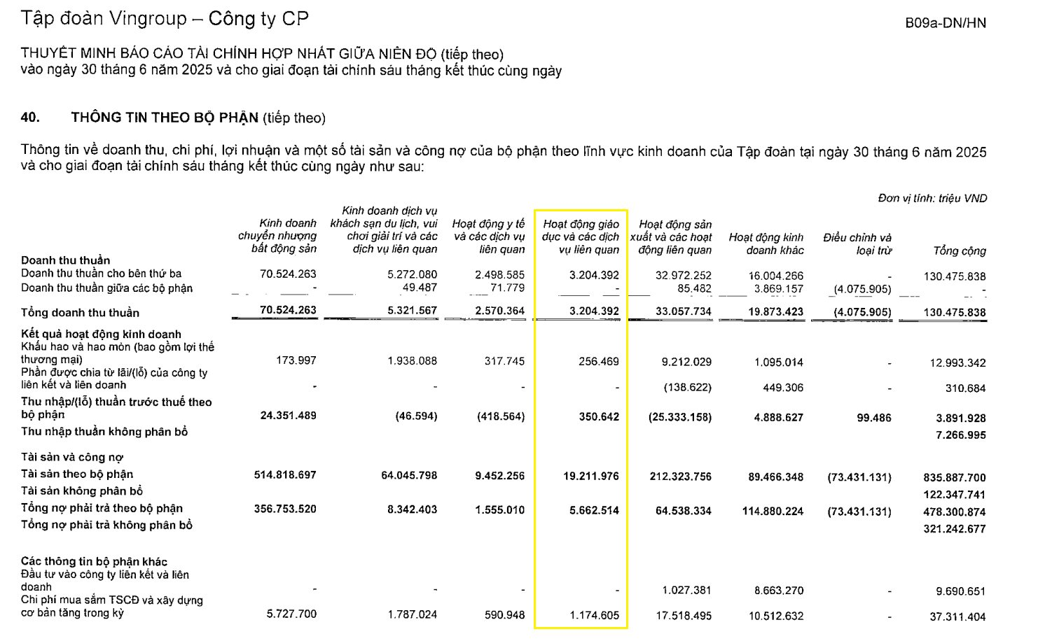 Vingroup đạt bao nhiêu doanh thu từ mảng giáo dục? - Ảnh 1