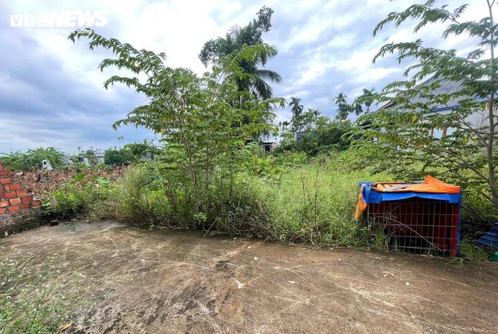 Tình tiết bất ngờ vụ xây nhà nhầm trên đất người khác: Bị đơn kháng cáo, không trả đất - Ảnh 3