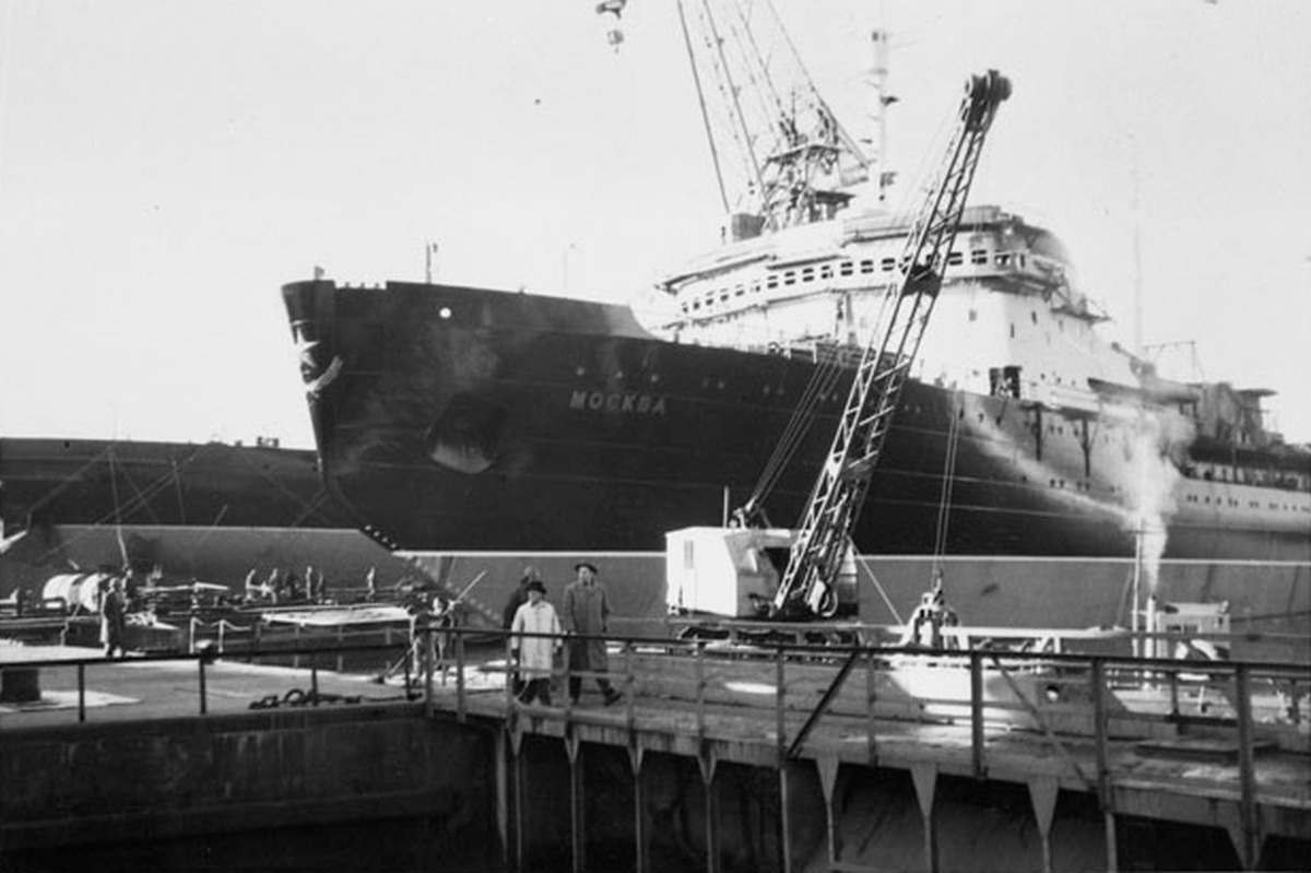 Tại sao 'Chiến dịch Beluga' lại dùng âm nhạc cổ điển để giải cứu 2.000 cá voi trắng giữa biển băng Bắc Cực? - Ảnh 2