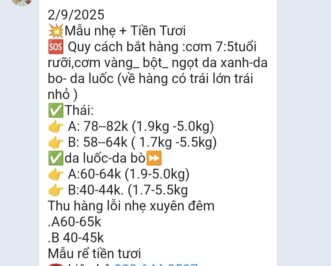 Các vựa sầu riêng thu mua xuyên lễ 2-9 - Ảnh 2