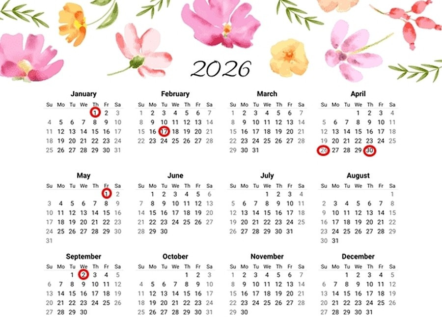 Lịch nghỉ năm 2026: Người lao động ở Việt Nam có tổng cộng 115 ngày nghỉ - Ảnh 1