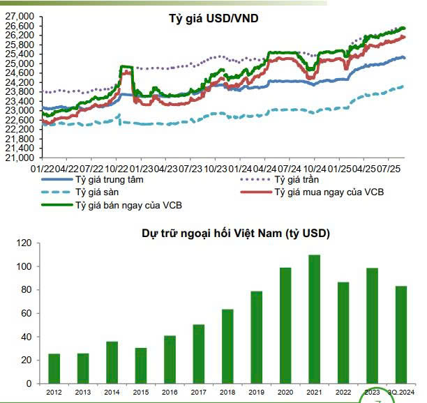 Vì sao tỷ giá USD và lãi suất tiết kiệm chịu áp lực tăng? - Ảnh 1