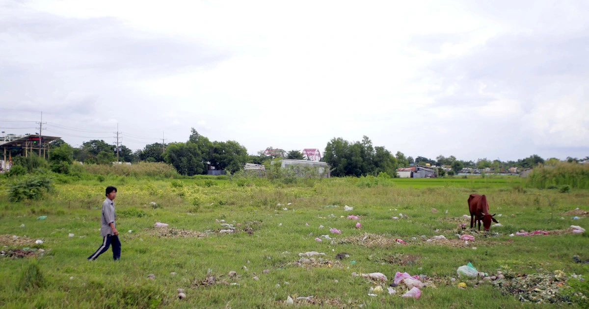 TP.HCM sẽ có thêm hơn 1.000 ha đất làm nhà ở thương mại