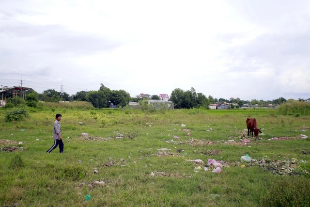 TP.HCM sẽ có thêm hơn 1.000 ha đất làm nhà ở thương mại - Ảnh 1