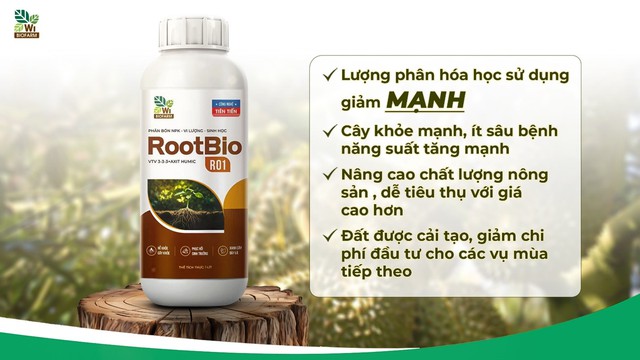 Tối ưu chi phí phân bón, tăng lợi nhuận mùa vụ cùng Rootbio R01: Giải pháp bền vững cho nhà nông Việt - Ảnh 1