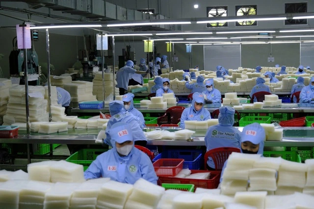 Một doanh nghiệp làm bánh tráng nhận danh hiệu 'Doanh nghiệp Khoa học và Công nghệ' - Ảnh 1