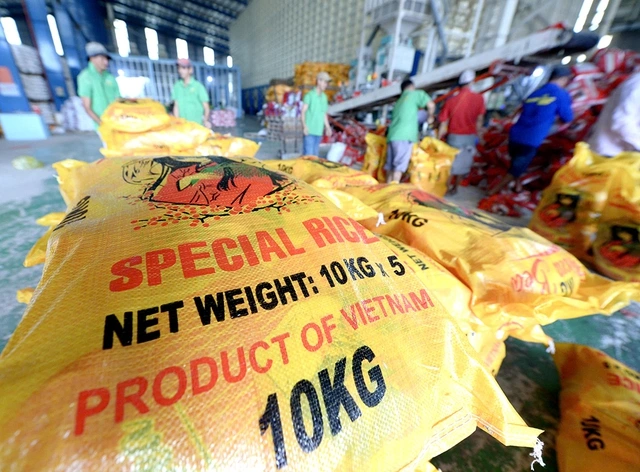 Philippines muốn kéo dài lệnh cấm nhập khẩu, gạo Việt thế nào? - Ảnh 1