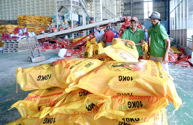 Philippines muốn kéo dài lệnh cấm nhập khẩu, gạo Việt thế nào? - Ảnh 2