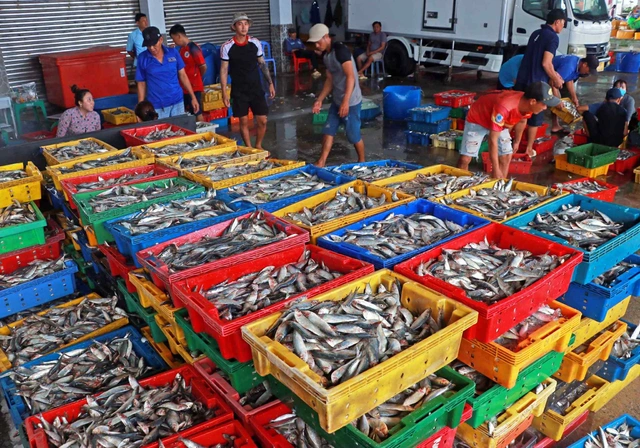 Cà Mau siết chặt truy xuất nguồn gốc, nâng chuẩn thủy sản xuất khẩu - Ảnh 3