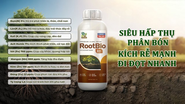 Tối ưu chi phí phân bón, tăng lợi nhuận mùa vụ cùng Rootbio R01: Giải pháp bền vững cho nhà nông Việt - Ảnh 3