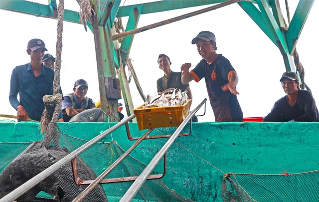 Cà Mau siết chặt truy xuất nguồn gốc, nâng chuẩn thủy sản xuất khẩu - Ảnh 4